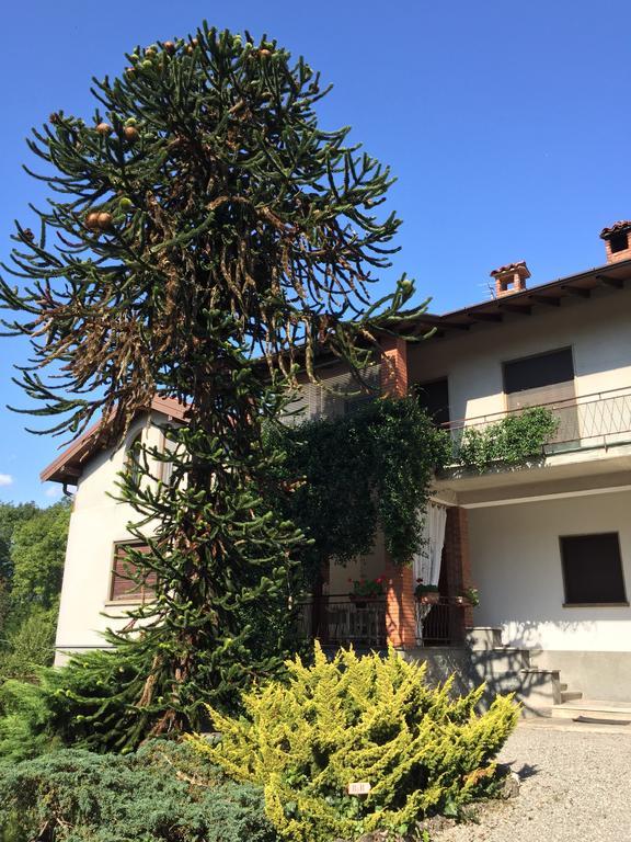 La Casa Creativa Bed and Breakfast Lomnago Zewnętrze zdjęcie